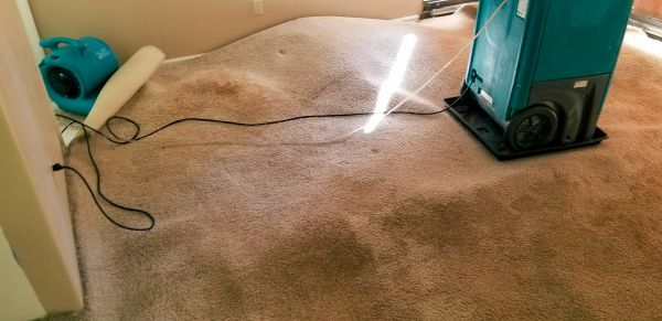 Carpet Water Extraction in Vista
