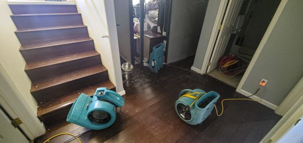 Water Damage Remediation in Vista